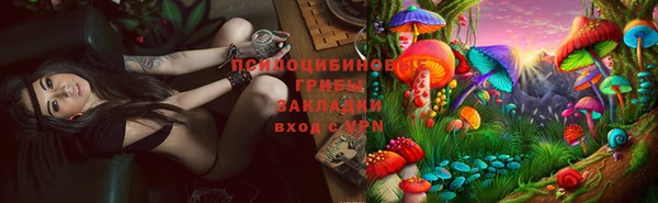 прущие грибы Армянск