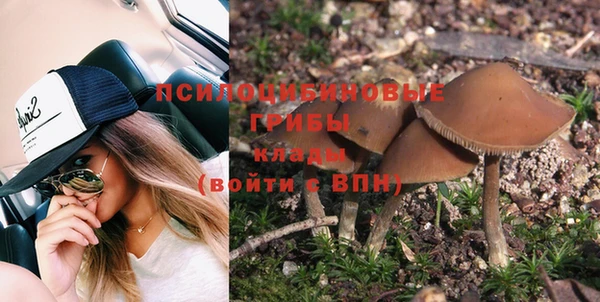 эйфоретик Аркадак