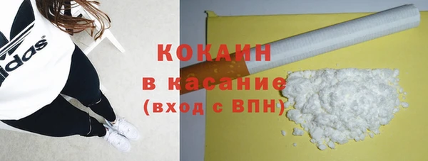 прущие грибы Арсеньев