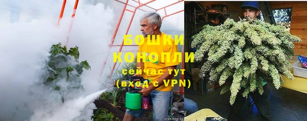 прущие грибы Армянск