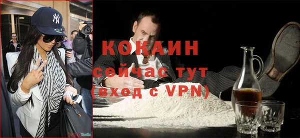 прущие грибы Армянск