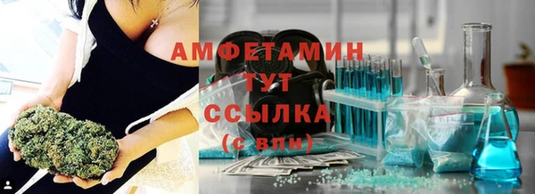 прущие грибы Армянск